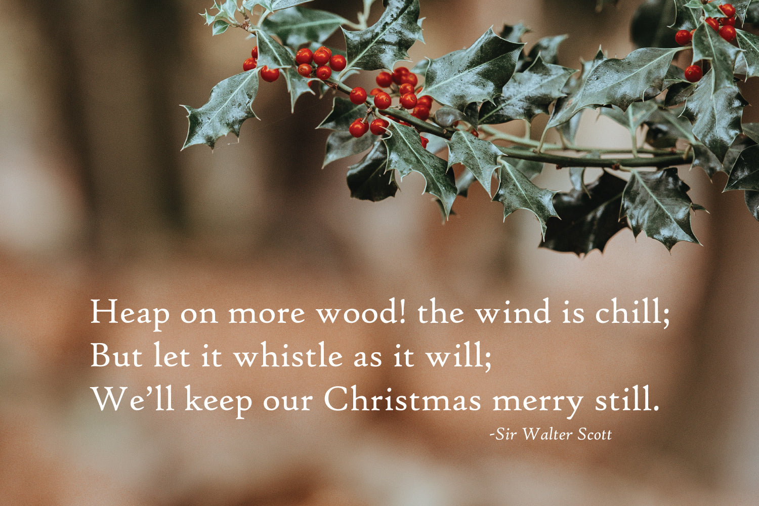 Have yourself a merry little Christmas