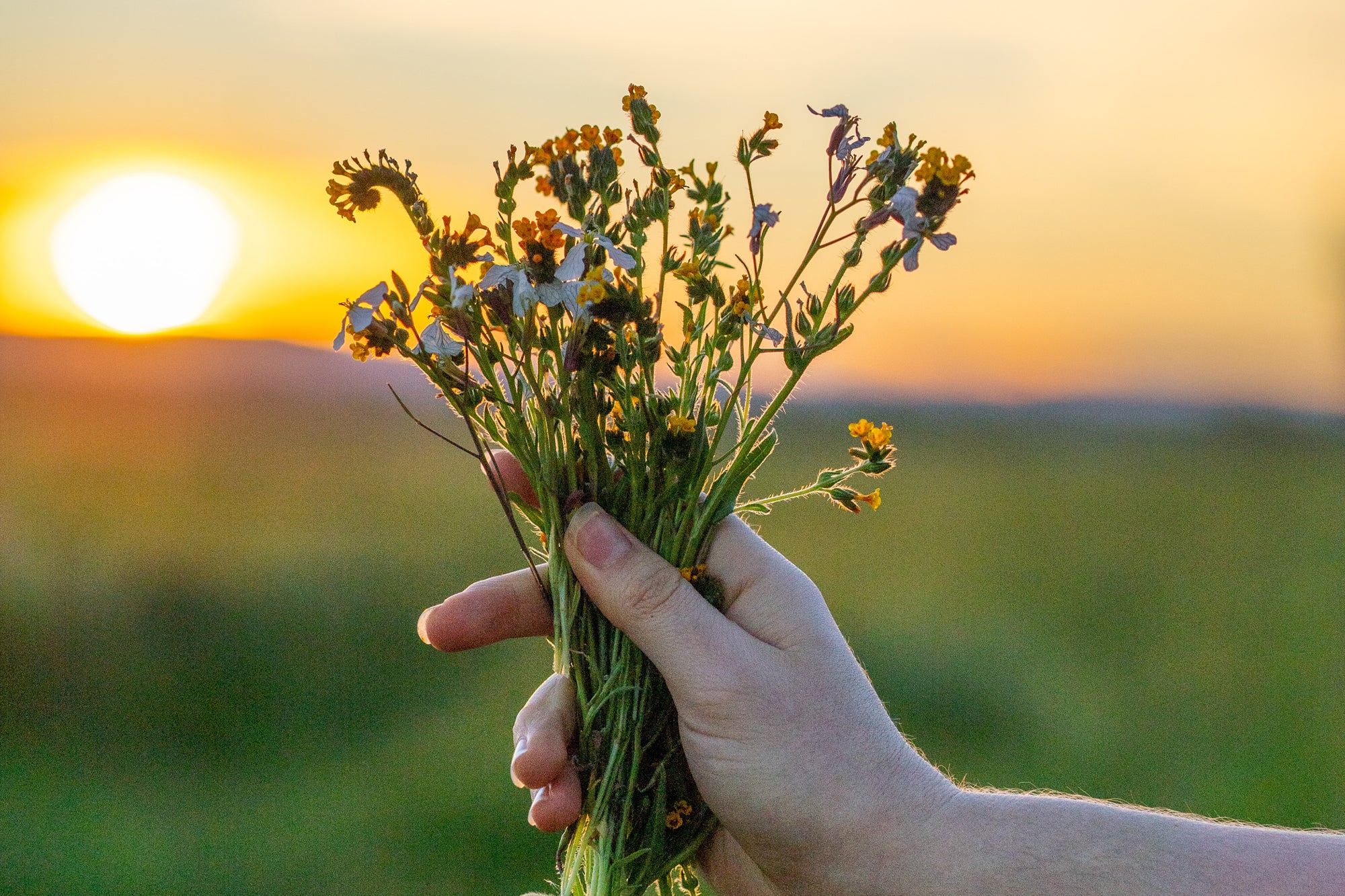 The busy time of the year