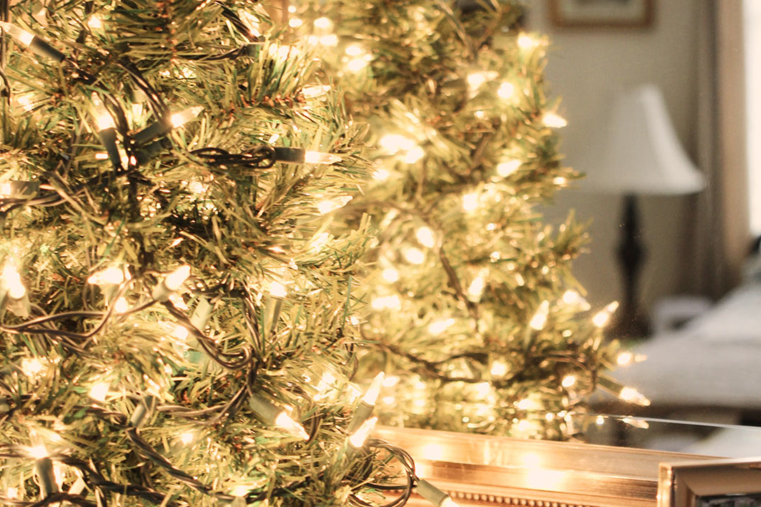 Decking the halls...