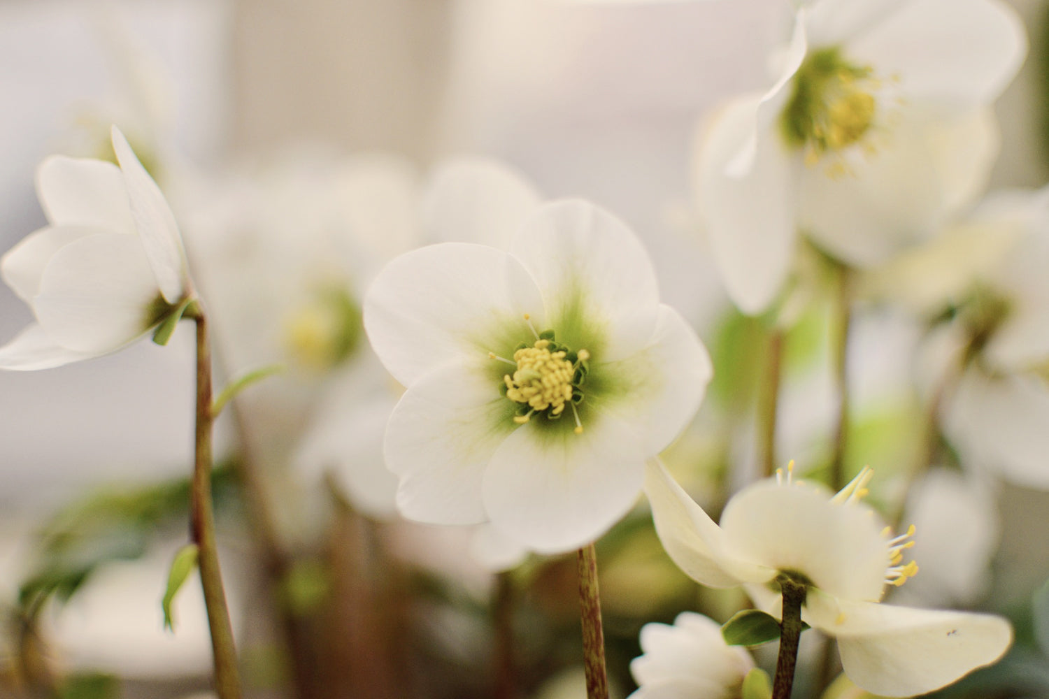 Fresh year, fresh start