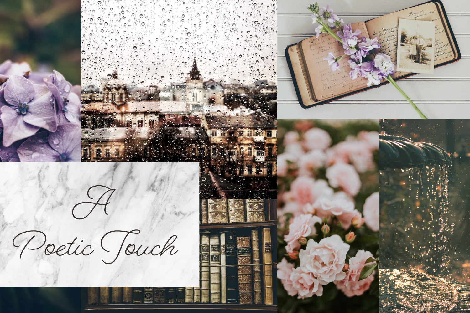 4th quarter Sock Club sign-ups are open!