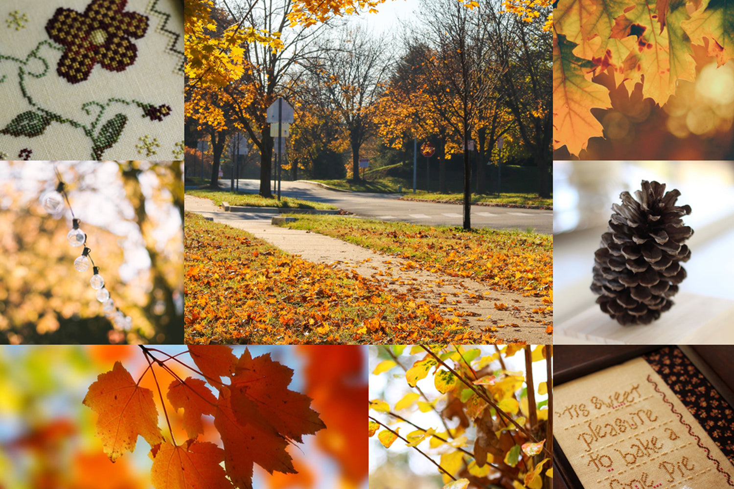 The glory of October