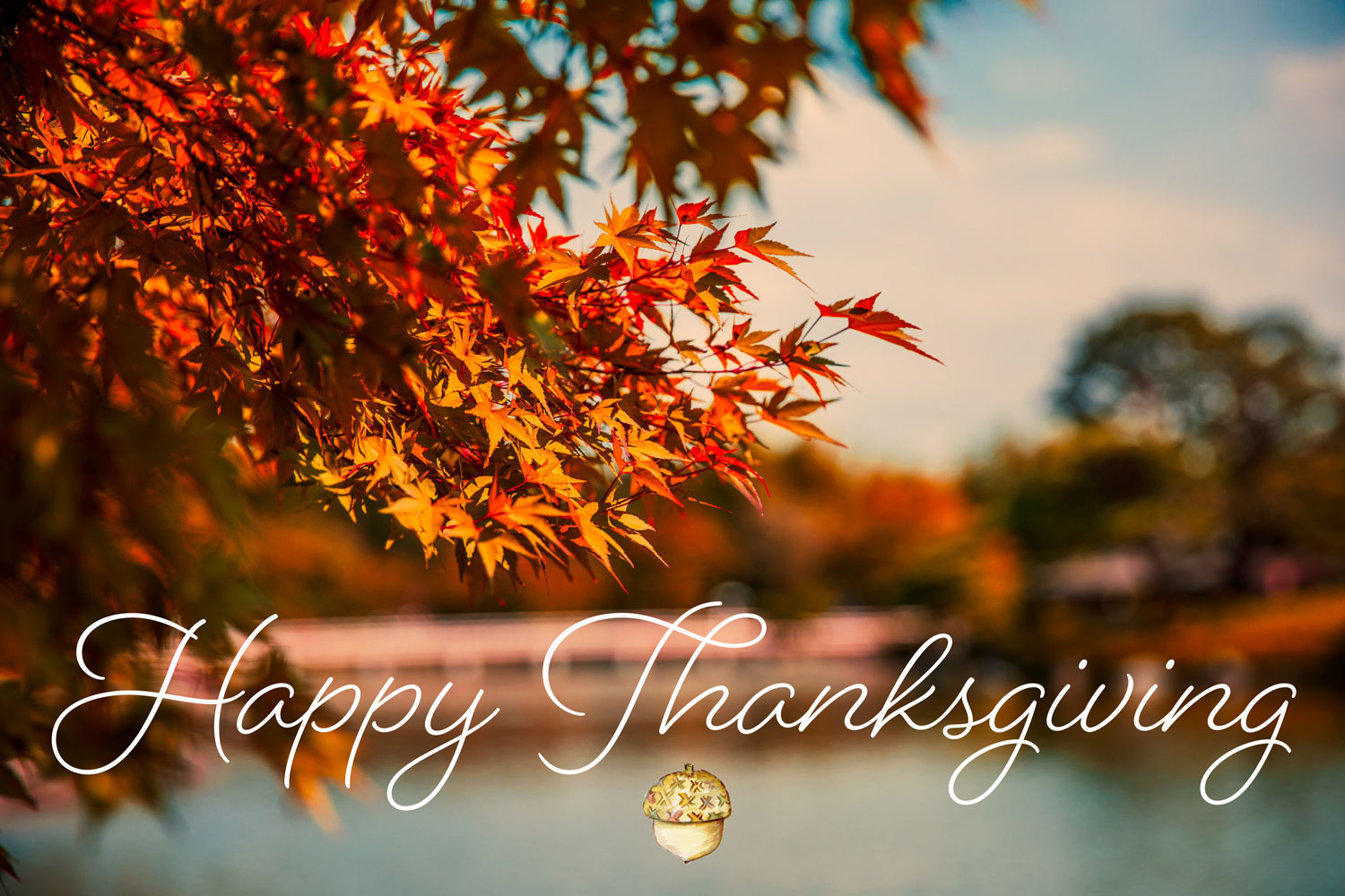 Time for giving thanks