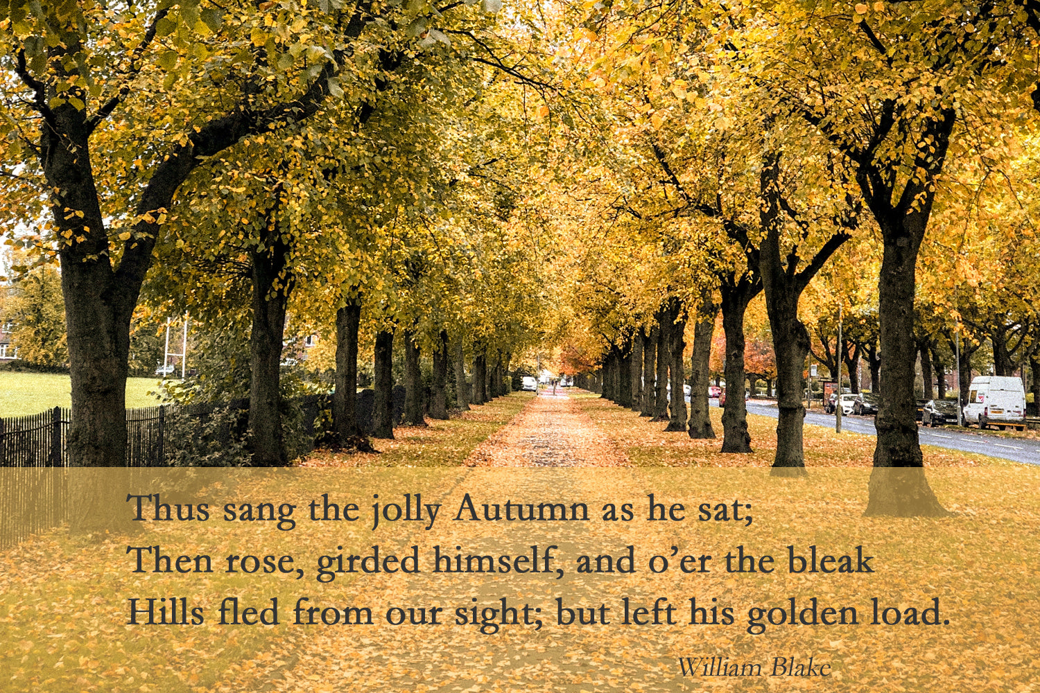 November! Almost as great as October!